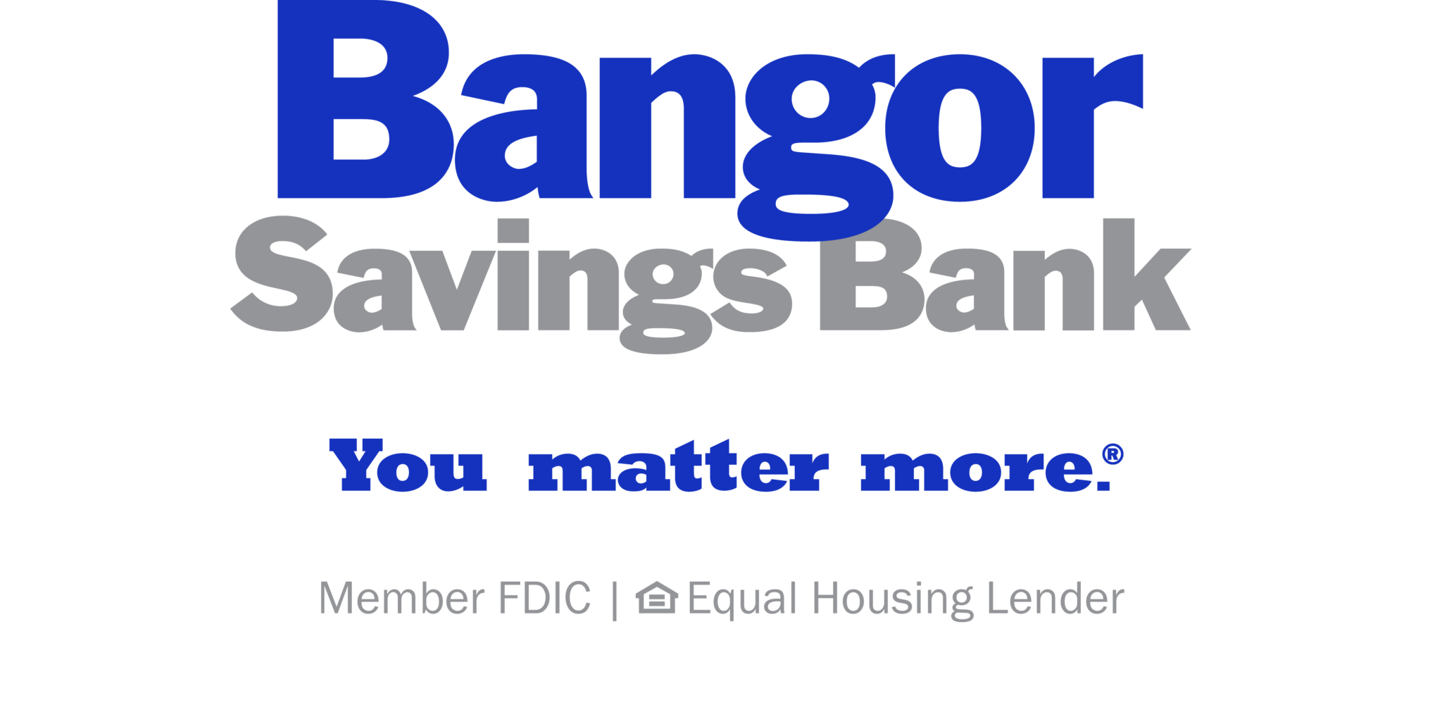 BSB_wTag_Blue-Gray_MFDIC_EHL_RGB-1-2048x1008